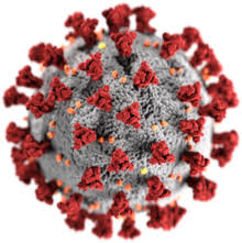 Immune Function and Chiropractic - ATX Chiropractor Best of the Best Austin TX